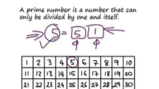 Video 496 - What is a prime number?