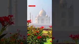 Taj Mahal Video status 🌅 #tajmahal #viralvideo
