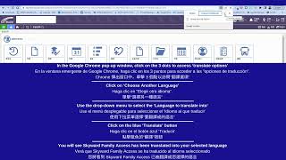 Skyward: How to Translate into an Alternate Language