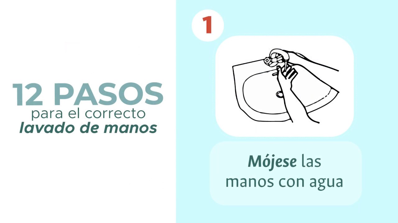 ¿Conoce Los 12 Pasos Para El Lavado De Manos? - YouTube