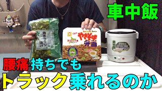 【車中飯】腰痛持ちでもトラック運転手が務まるのか？【日野プロフィア】