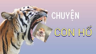 [SOONHOON] Chuyện con hổ