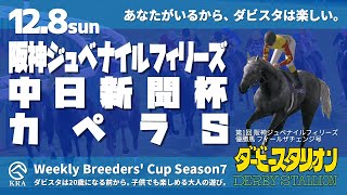 【ダビスタSwitchBC】2024年12月8日 阪神ジュベナイルフィリーズ・中日新聞杯・カペラS