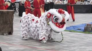 Kun Seng Keng Dragon \u0026 Lion Dance, Johor Bahru 吧口关圣宫龙狮团