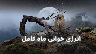 #فال رز🌹✨🤞درها به روی شما باز می شوند، از پروژه‌ها و ایده‌های جدید بهره برداری کنید✨🤞🌹