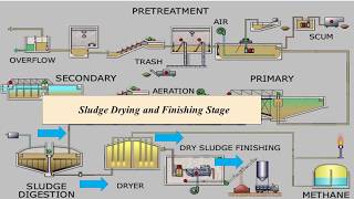 What is Sludge Dewatering and Drying Process?