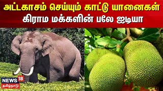 Elephants | ஊருக்குள் காட்டு யானை வராமல் இருக்க கிராம மக்களின் பலே ஐடியா | Ooty | Tamil News