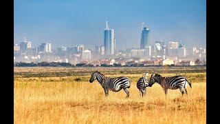 The World's only Wildlife Capital; The Nairobi National Park