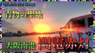 第19話【関電赤灯】渡船初心者が初めての関電波止で釣り！