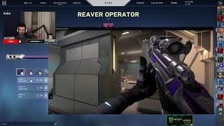 Tarik Buy Reaver Operator Because of Tenz