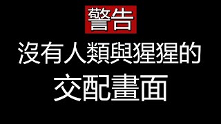 女權工作室的《最後生還者》1代重製版竟然賣到缺貨，可見玩家的教育還不夠！