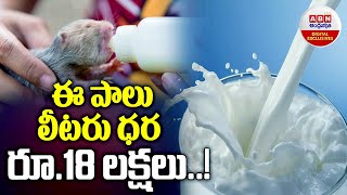 ఈ పాలు లీటరు ధర రూ.18 లక్షలు..!  || Most Expensive Milk in the World || ABN Digital