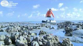 Japanse oester in de waddenzee, zegen of plaag