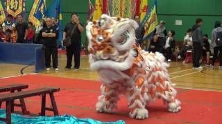 全港公開龍獅藝錦標賽2016 HK Open Dragon \u0026 Lion Dance Competition 2016 自選組 惠州國術健身會 20161204