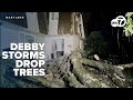 Debby storm damage across DMV: Trees into homes, flooding, tornado threats from tropical depression