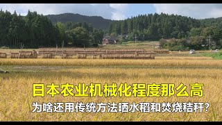 日本农业机械化程度那么高，为啥还用传统方法晒水稻和焚烧秸秆？