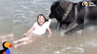 Dog 'Saves' His Little Girl From The Ocean | The Dodo