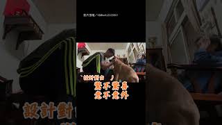 【玩躲避球？】不給抱就是不給抱！ 主人:撲了個空QQ｜寵物｜狗狗｜主人｜擁抱｜躲避｜反應｜逗趣