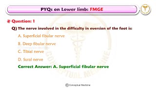 PYQs on Anatomy - Lower Limb : FMGE