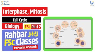 Biology -  Interphase, Mitosis - FSc Part II