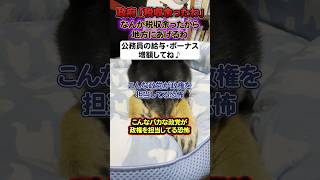 【激怒】政府「税金余ったので○兆円を地方にあげるわ。公務員の給料増額に使ってね」←国民「は？」【与党/政治/自民党/予算】#shorts