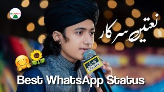 Ye Suna Hai Ki Bahut Ghor Andheri Hogi - Ghulam Mustafa Qadri | Zee Naats