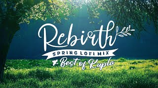 Rebirth 🌱 lofi hip hop & chillhop mix | Best of KUPLA | Spring Vibes lofi playlist (1 hour)