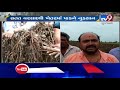 junagadh heavy rain in vanthali destroy cotton and groundnut crops tv9gujaratinews