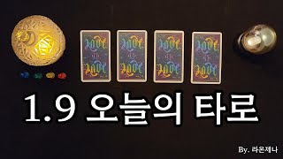 [타로] 1.9 오늘의 타로