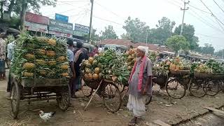 Pineapple hut. garo bazar. madhu pur, tangail, Bangladesh