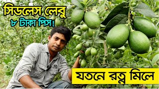 সিডলেস লেবু চাষ করে সফলতা পেলেন জাকির হোসেন | উদ্যোক্তার খোঁজে