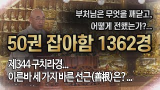 잡아함경... 1805회, 제344 구치라경... 이른바 세 가지 바른 선근(善根)은?...