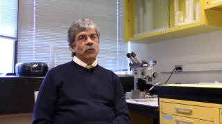 Ron Harris-Warrick’s Tip for Faculty New to Active Learning