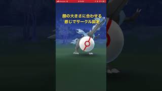 【ポケモンGO】キュレム復刻 Excellent コツ / Kyurem raid excellent throw!! [#pokemongo]