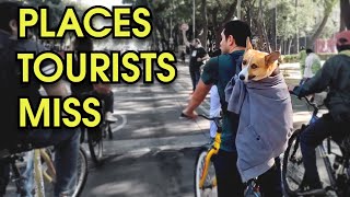 5 Hidden Gems in Mexico City – A Travel Guide to Secret Spots!