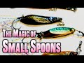 Fish small spoons with small customization. Jackall Cosaji and Acme Kastmaster.