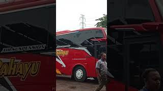 KERENNN DARI LAHIR 😍 JETBUS 5 PERTAMA DI YOUTUBE IFULRN285#funny #fyp #jetbus#jetbus5#sugengrahayu