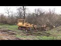 955k tree removal