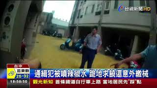 通緝犯被噴辣椒水跪地求饒還意外繳械