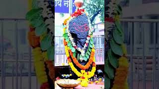 श्री शनि देव चालीसा শ্রী শনিদেব চালিশা