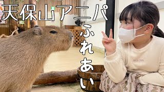 天保山アニパで可愛い動物たちと触れ合ってきたよ！！