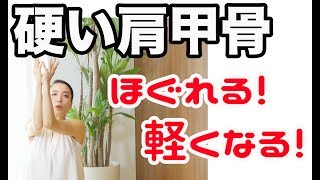 【硬い肩甲骨】肩こり腰痛を根本解決ヨガ｜#185