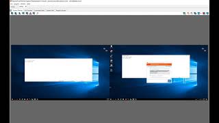 BeyondTrust Remote Support Multi Monitor Support