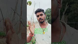 ஒரு விவசாயி முதலாளியாக முடியாது 🥺🥺 #farmar #not  #owner # #shortsvideo #tamil  #ungal-vivasayi