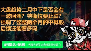 大盘趋势二月中下是否会有一波回调？特斯拉要止跌？ 强调了整整两个月的中概股后续还能看多吗 #美股  #特斯拉  #中概股