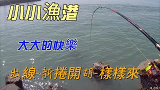 磯釣 港口 岸邊 垂釣 苗栗 黑鯛 沙格 烏魚 星點 臭肚 象魚 20240201