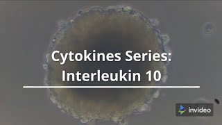 Cytokines Series: Interleukin 10 - The Master Anti-inflammatory Cytokine. #shorts