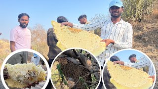 आगे मोहळ काढणारी गँग 🐝 #akolakar #trending #madhumakhi #love #nature #motovlog #virelvideo