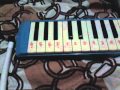 Not pianika anak kambing saya