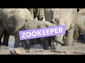 Discover Careers: Zookeeper | Sortyourfuture